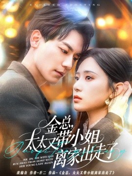 金总，太太又带小姐离家出走了高清海报