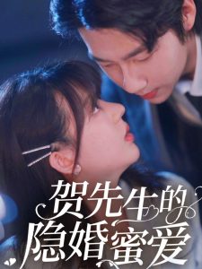 贺先生的隐婚蜜爱高清海报