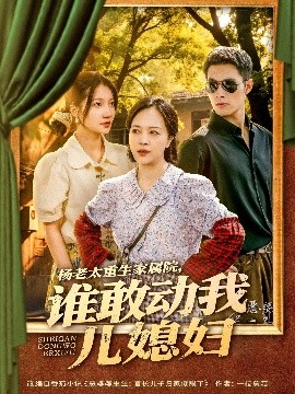 杨老太重生家属院，谁敢动我儿媳妇高清海报