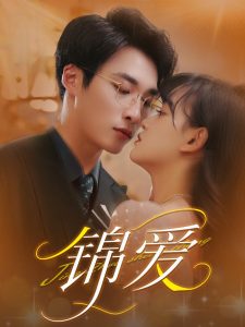 锦爱高清海报