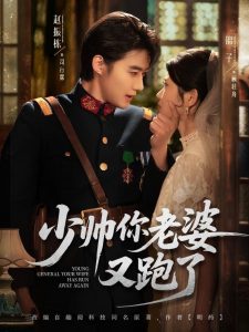 少帅你老婆又跑了高清海报