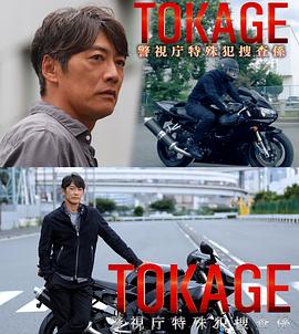 TOKAGE警视厅特殊犯搜查组高清海报